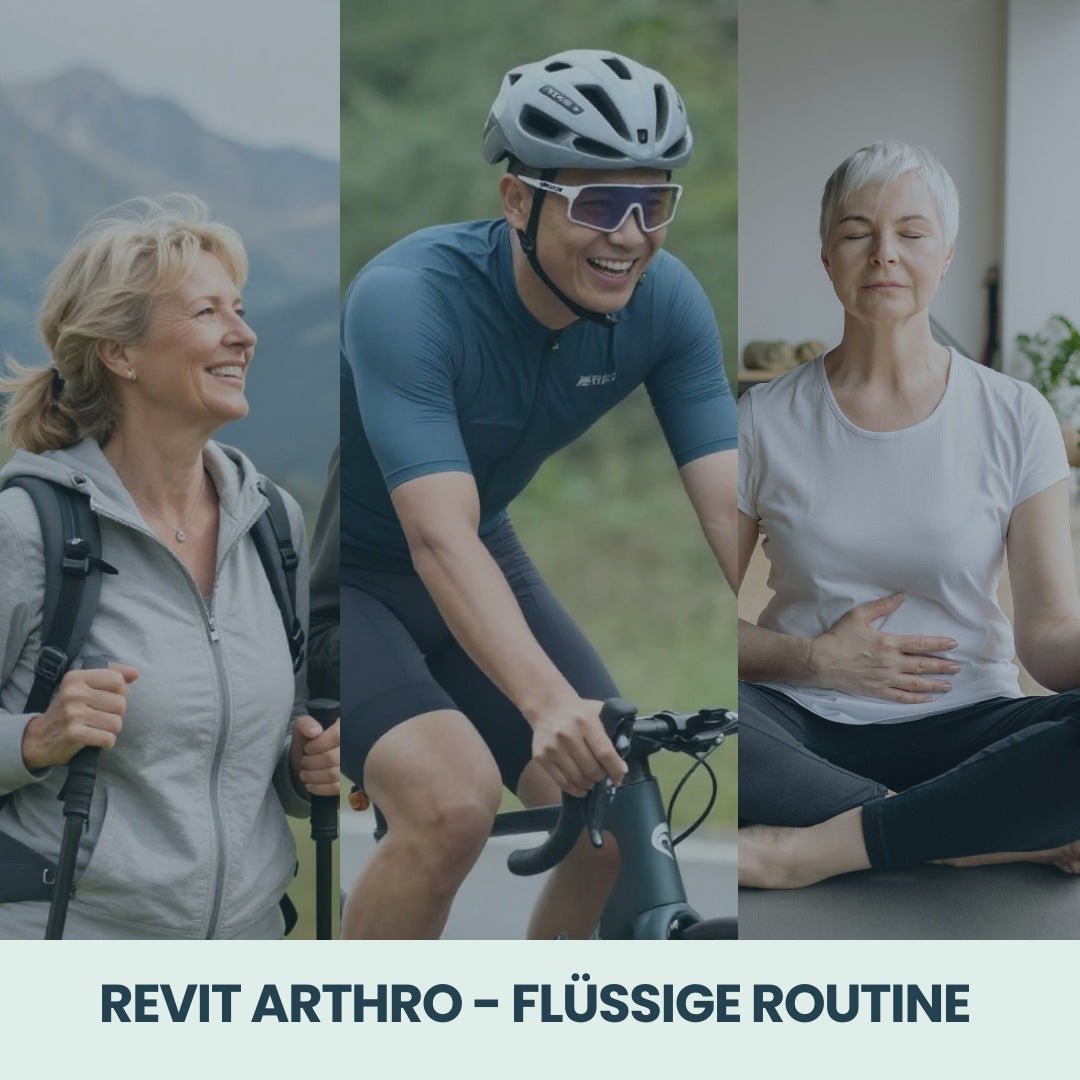 REVIT ARTHRO - Revit Nature