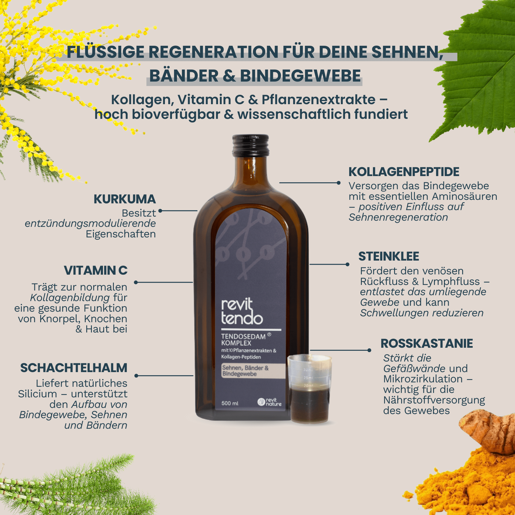 REVIT TENDO - Nahrungsergänzung für Sehnen und Bänder - Revit Nature