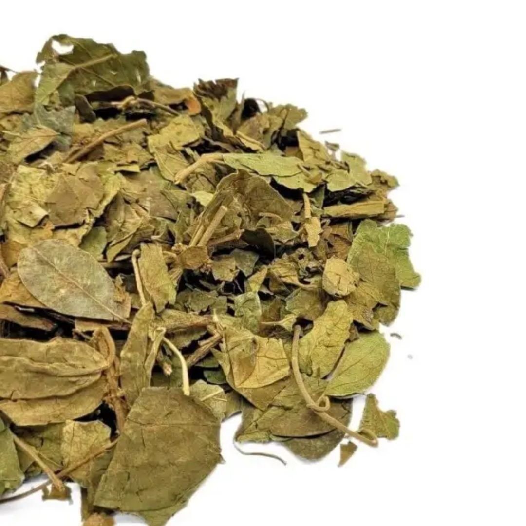 Gymnema: Natürlicher Zuckerblocker bei Heißhunger & Insulinresistenz - Revit Nature