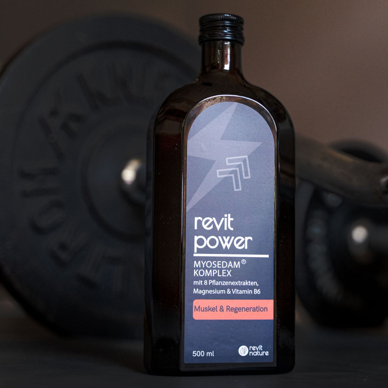 REVIT POWER - Nahrungsergänzung Muskulatur und Regeneration - Revit Nature